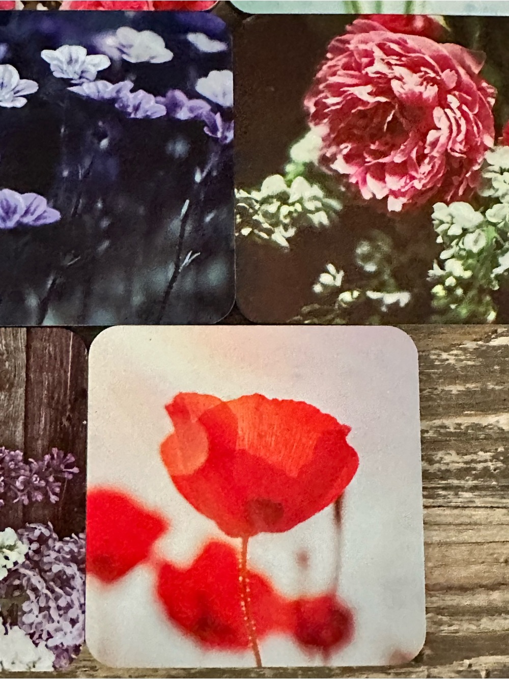 Floral Photo Coaster Set - Multi-Color - Picture 4 of 6